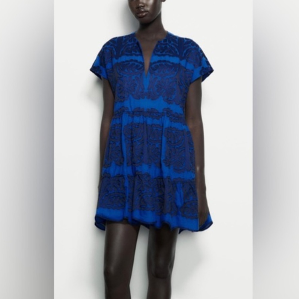 Zara embroidered mini dress